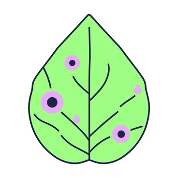 A magnified view of a leaf's surface showing stomata and transpiration in detail