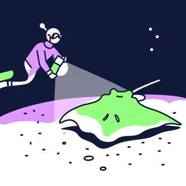 A stingray is gliding gracefully along the sandy ocean floor in the dark depths of the ocean. It has a broad, flat body and long, slender tail. A diver is positioned nearby, holding a flashlight that casts a beam of light onto the stingray, highlighting its smooth texture and unique shape. The surrounding water appears deep and dark, contrasting with the illuminated area that reveals small particles floating. The diver is wearing a wetsuit and a mask, observing the stingray with curiosity from a safe distance.