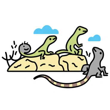 A group of lizards with varied colors, including green, brown, and gray, basking on sunlit, textured rocks in a desert environment. A slender snake, coiled and resting, has a pattern of stripes in shades of brown and cream. The background features sparse desert vegetation, with a few scattered cacti and small bushes. The rocks have shadows cast by the bright sun, highlighting their rough surfaces. The sky above is clear and blue, completing the warm, arid atmosphere.