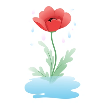 A solitary poppy stands tall with delicate, bright red petals. Raindrops are gently falling onto the flower, creating ripples and splashes. Beneath the poppy, a reflective puddle forms, mirroring the vibrant hue of the petals above. The surrounding area features soft green foliage, enhancing the vivid color of the poppy and the serene atmosphere. The scene captures the essence of a gentle rain shower and its impact on the single flower.