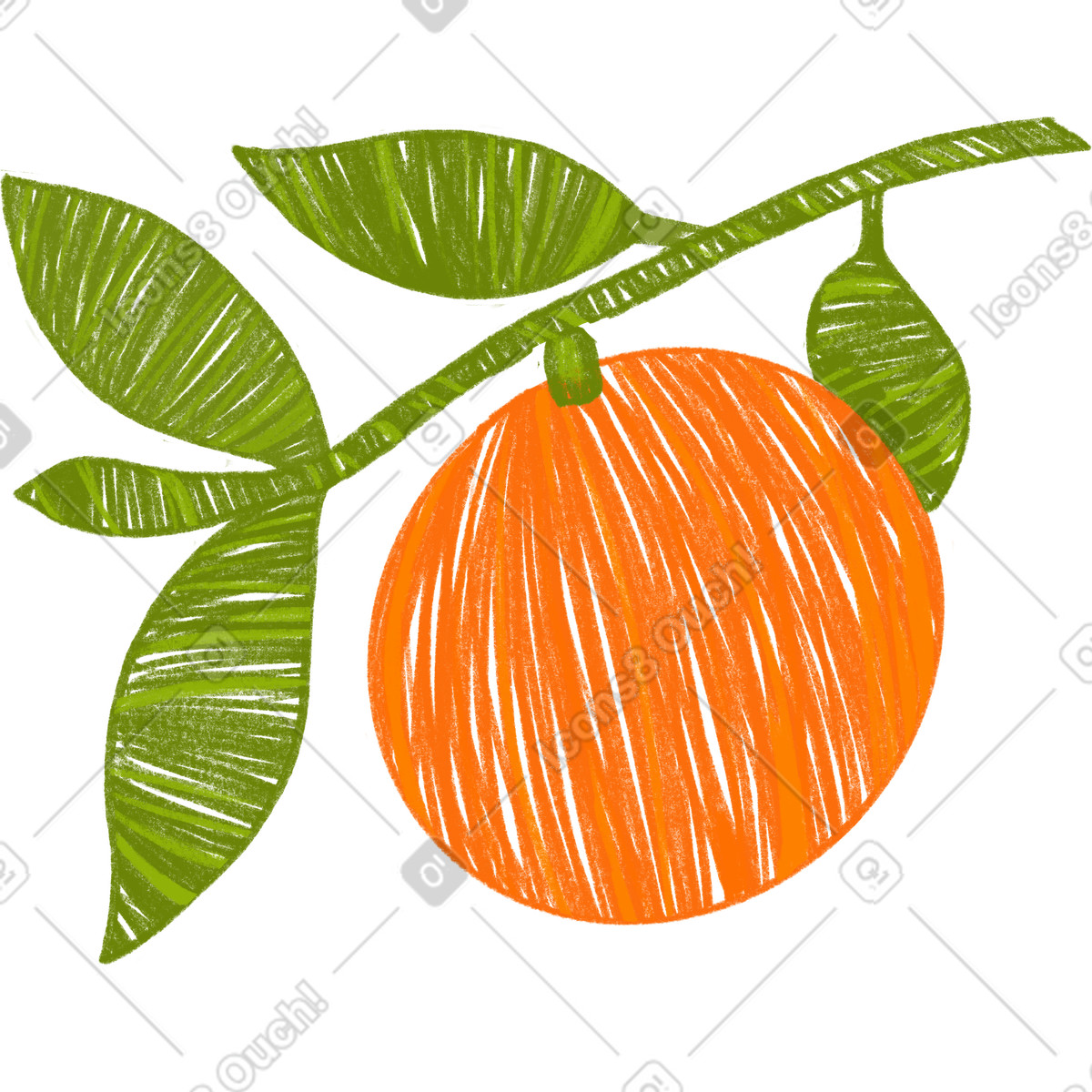Illustration Une orange sur branche dans le style Experimental à télécharger aux formats PNG, SVG