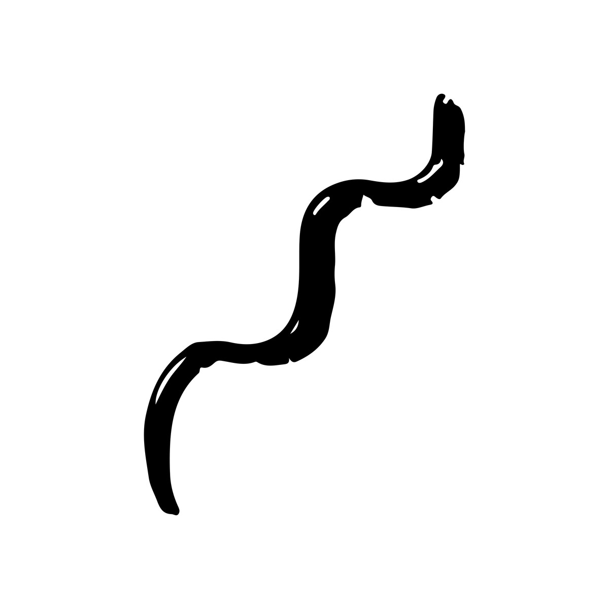 Scribbles illustration in PNG, SVG
