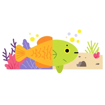 An illustration showing a grouper in the middle of changing colors for camouflage. The grouper has a large body with distinctive patterns that shift from orange to green as it blends into a coral reef background. The left side of the image depicts a vibrant coral environment with red and purple corals, while the right side features sandy ocean bottom with scattered rocks and seaweed. The grouper's skin reflects the colors of each environment, showcasing its adaptive abilities. Bubbles are rising around the grouper, adding to the underwater atmosphere.