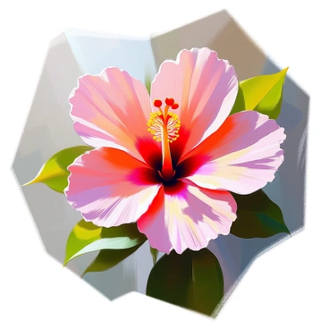 Hibiscus