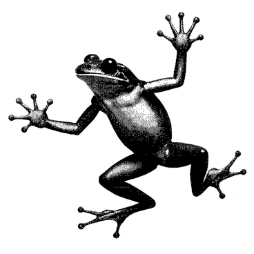 A frog is depicted in mid-leap, with its limbs extended outward. The frog's body is in a dynamic pose, showcasing the muscles tensing as it propels itself upward. The texture of the frog's skin is visible, displaying detailed patterns. The background features abstract lines suggesting movement and energy, enhancing the sense of action in the scene.