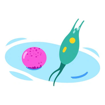 A mature sperm cell with a streamlined shape and a long flagellum is depicted swimming through a translucent fluid. The sperm cell has a smooth, shiny surface, reflecting light as it moves. In the background, there is a round, textured egg cell, characterized by a bumpy outer membrane and a soft glow. The sperm cell is approaching the egg, with clear movement lines indicating its swift motion. The scene captures the dynamic and biological interaction between the two reproductive cells.
