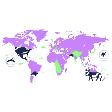 A world map is displayed, showcasing various migration paths of animals. The map features lines in different styles that represent the routes taken by animals such as birds, whales, and wildebeests. Each path is marked with dots indicating key stopover points. Icons of animals, including a bird in flight, a whale tail surfacing, and a wildebeest, are strategically placed along their respective routes. The continents are outlined clearly, and ocean areas are shaded to provide contrast. There are annotations beside each animal icon, featuring the names of the species in a clear font.