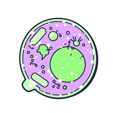A lysosome is depicted as a round, membrane-bound structure within a cell. The membrane is slightly textured, indicating its protective role. Inside the lysosome, various enzymes are shown in action, breaking down cellular waste materials. Fragments of broken-down proteins and organelles can be seen swirling around in the interior. The lysosome is located near other organelles, such as a rough endoplasmic reticulum and a mitochondrion. A small portion of the cellular environment, including the cytoplasm filled with other cell components, is visible around the lysosome.