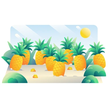 A lush garden filled with rows of growing pineapples under the sun