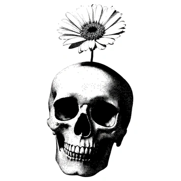A delicate flower with intricate petals is growing from the top of a skull. The skull has fine details, showcasing textures and contours on its surface. The flower is vibrant and full of life, contrasting with the starkness of the skull beneath it. The composition emphasizes the juxtaposition of the flower's beauty against the dark and lifeless elements of the skull.