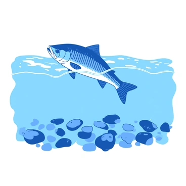 A blue walleye is swimming upstream against a gentle current. The fish has distinctive dark stripes along its body, gliding smoothly through the water. Below the walleye, a bed of visible pebbles is scattered across the riverbed, varying in size and shape. The water has a slight ripple effect, creating small waves that reflect the movement of the fish. Sunlight filters through the water, illuminating the scene with a shimmering effect.