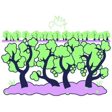 A vineyard where grapevines are shaped like neuron branches