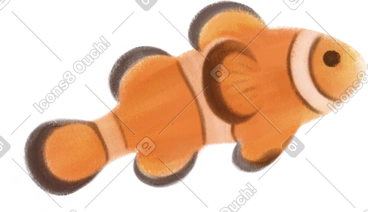 Fish PNG, SVG