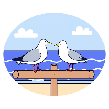 Seagull