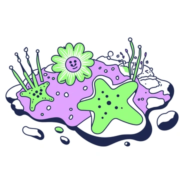 A tide pool filled with water reflecting the surroundings. Within the pool, there are several ohr starfish with distinct features, positioned on the rocky bottom. Surrounding the starfish, vibrant anemones are gently swaying with the water's movement. Some anemones display their elongated tentacles while others are closed, adding variety to the scene. Small pebbles are present, scattered amongst the starfish and anemones. The entire composition captures the intricate details of the marine life within the tide pool.