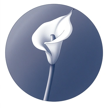 A single "white calla lily" stands elegantly in the foreground. The flower features a smooth, trumpet-shaped bloom that curves delicately at the tip. Its stem is slender and upright, supporting the bloom gracefully. The background consists of a dark, textured surface that contrasts sharply with the brightness of the lily, enhancing its elegant form and clean lines. The composition focuses on the sophisticated simplicity of the flower, emphasizing its natural beauty and graceful presence.