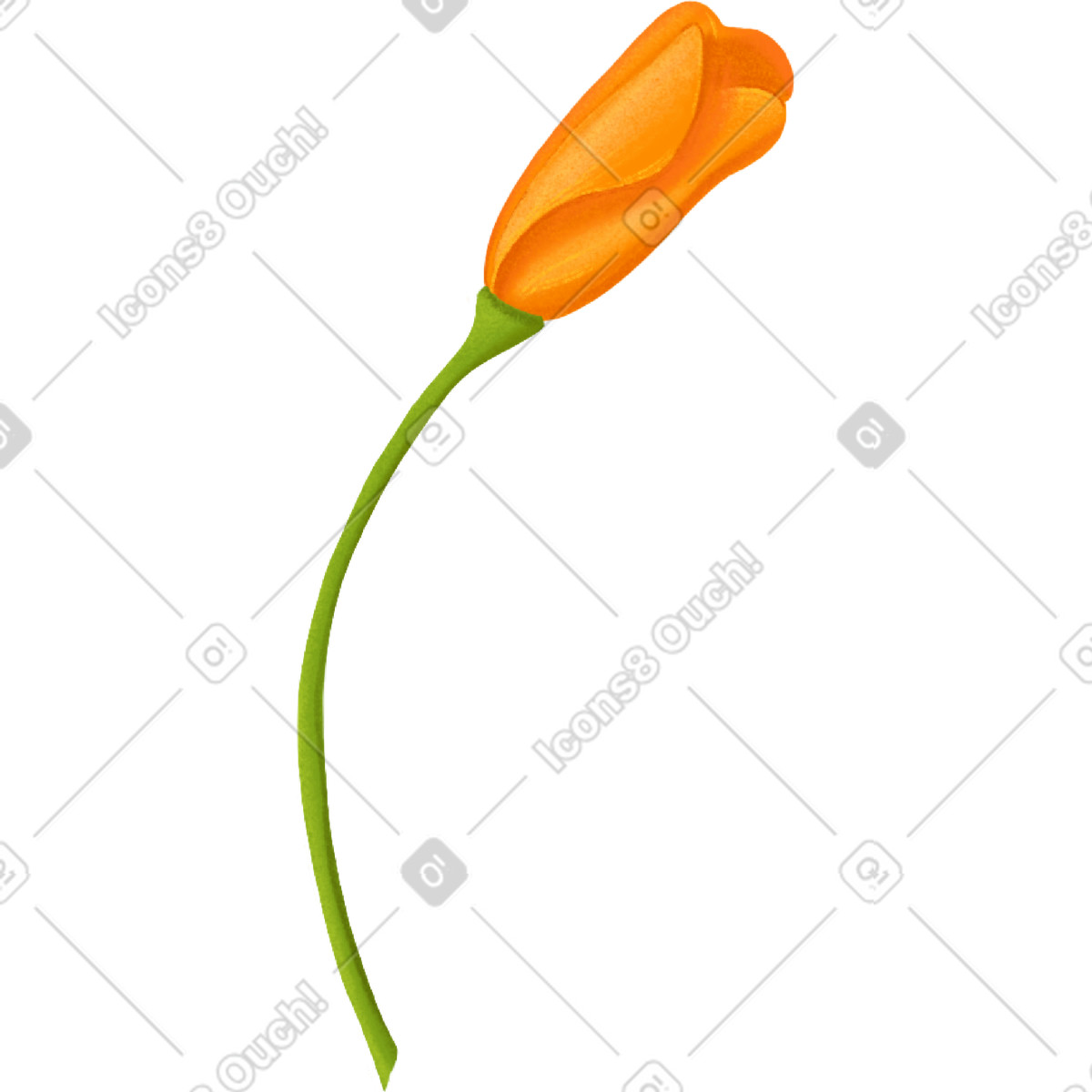 Ilustración Capullo de naranja eschsholzia en estilo Floral a descargar en PNG y SVG