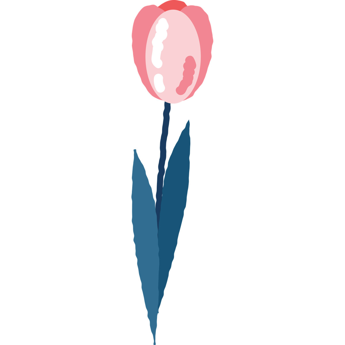 Ilustración Tulip en estilo Cherry a descargar en PNG y SVG