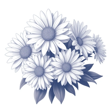 Chrysanthemum