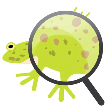 A close-up view of a frog's skin displayed under a large round magnifying glass. The skin features various textures and patterns, showcasing small bumps and ridges. The colors range from vibrant green to earthy brown, with some areas reflecting light. Tiny droplets of water can be seen on the skin, adding detail to the scene. The background is softly blurred to emphasize the magnified skin of the frog.