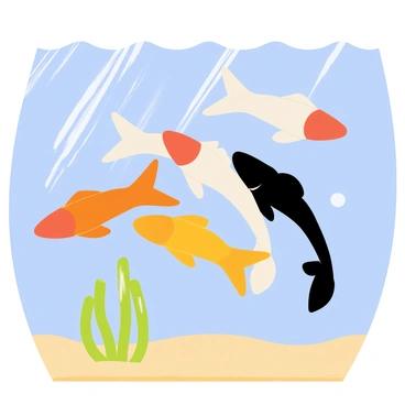 A group of koi fish with vibrant colors, including orange, white, and black, swimming together in clear blue water. The fish are gracefully gliding through the water, their fins and tails flowing behind them. Sunlight filters through the water, creating subtle ripples and reflections on the sandy bottom below. A few green aquatic plants are visible, swaying gently in the current, adding to the lively underwater scene.