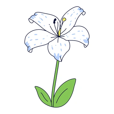 Fresh raindrops glistening on the smooth, delicate petals of a vibrant white lily. The lily stands tall, showcasing its wide-open petals that gently curve outward. Each raindrop reflects light, creating tiny sparkles on the surface of the petals. The green leaves of the lily are visible beneath, contrasting beautifully with the bright white petals.