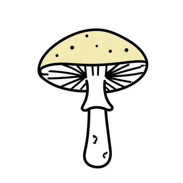 A detailed cross-section of a mushroom, displaying the gills, stem, and cap in clear layers. The upper cap is smooth and dome-shaped, with a beige color and subtle texture. Below the cap, the gills are visible, radiating outwards, showing a series of thin, delicate lines. The stem is cylindrical and sturdy, with a slight taper towards the base, exhibiting a whitish color with faint brown specks. The background is plain to emphasize the intricate internal structure of the mushroom.