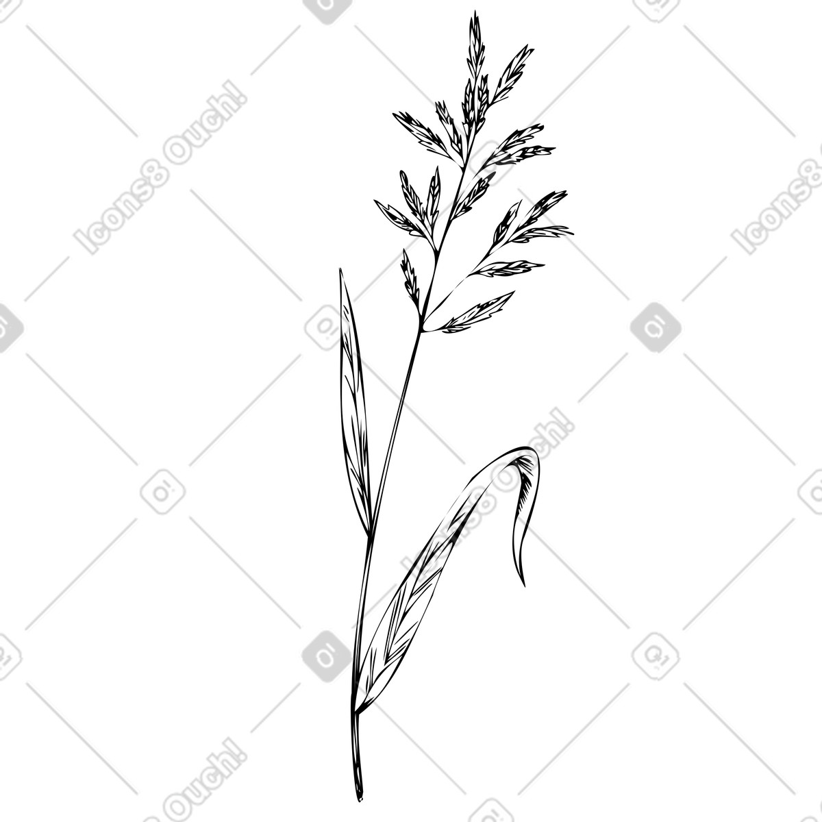 Illustration Plante de pâturin du kentucky dans le style Experimental à télécharger aux formats PNG, SVG