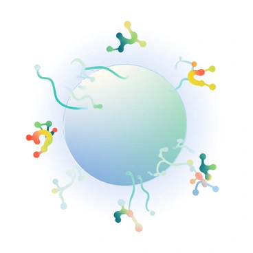A detailed representation of cell recognition is depicted through the interaction of glycoproteins on the cell surface. The glycoproteins are shown as long, branching structures with a translucent appearance. They are positioned on the surface of a spherical cell, which is colored in a light shade of blue. Surrounding the cell are various other cell surface molecules represented as smaller, differently shaped proteins, each in a range of colors including green, yellow, and red. These molecules are engaging with the glycoproteins, showing points of contact and connection. The background is a soft gradient transitioning from light white to pale blue, enhancing the clarity of the cell and its components.