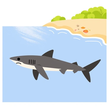 A tiger shark swimming gracefully just below the surface of the clear blue water. The shark has distinctive dark stripes on its body and a streamlined shape. Nearby, the sandy shore of a remote island is visible, with soft golden sand and a few scattered seashells. Gentle waves lap at the beach, while patches of vibrant green vegetation can be seen in the background, framing the tranquil scene. Sunlight sparkles on the water surface, creating a shimmering effect around the shark.