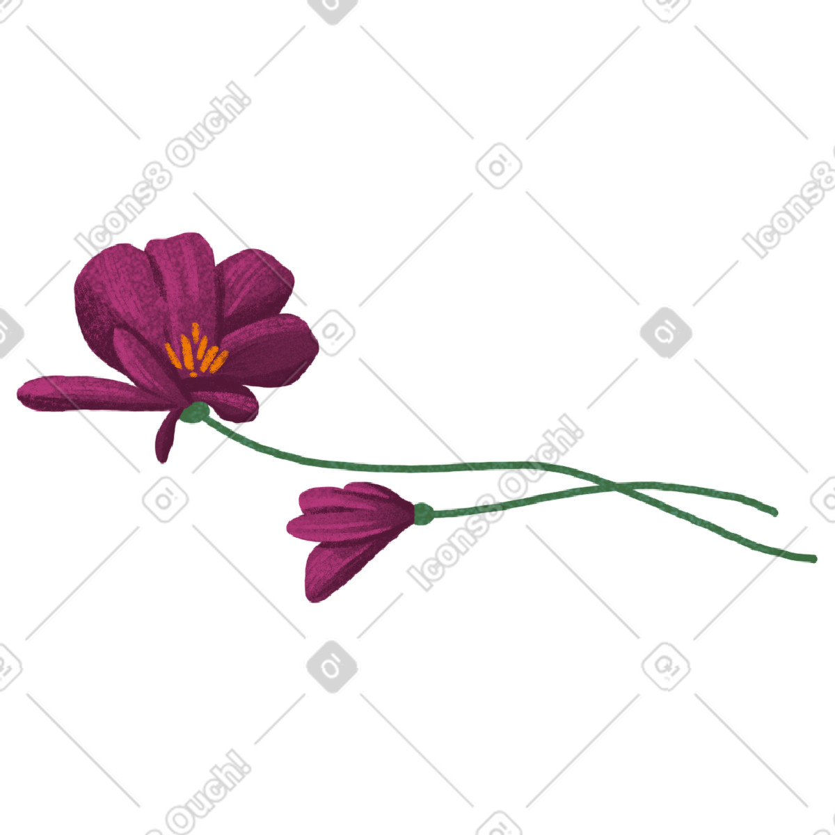 Floral 스타일의 Two pods with burgundy flowers 일러스트레이션 PNG, SVG 다운로드