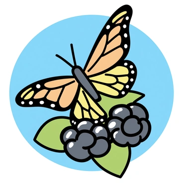 A butterfly with vibrant wings, featuring orange and black patterns, is resting on a cluster of ripe blackberries. The blackberries are plump and glossy, nestled among rich green leaves. The sunlight casts gentle highlights on the fruit, creating a warm and inviting atmosphere. The background is a clear blue sky, emphasizing the feeling of a sunny day.