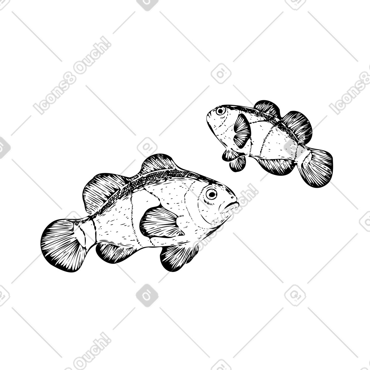 Experimental スタイルの カクレクマノミ のイラストをPNG、SVG形式でダウンロード