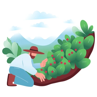 A farmer in a wide-brimmed hat is working on a coffee plantation on a steep hillside. The farmer is wearing a light-colored shirt and sturdy pants, kneeling to inspect vibrant green coffee plants. The hillside is covered with rows of coffee bushes, some adorned with clusters of red coffee cherries. In the background, various shades of green foliage create a lush landscape, with distant mountains peeking through a misty atmosphere. A few clouds drift across the sky, adding a soft gradient of pastel colors.