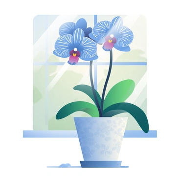 A vibrant blue orchid with intricate petal patterns is blooming in a decorative pot. The pot has a glossy finish and features a delicate floral design. Sunlight streams through the window, casting soft shadows on the windowsill. The background shows a blurred view of greenery outside. The orchid's leaves are a deep green, contrasting beautifully with the bright blue of the flowers. There is a small, round saucer under the pot, collecting water from the orchid's drainage.
