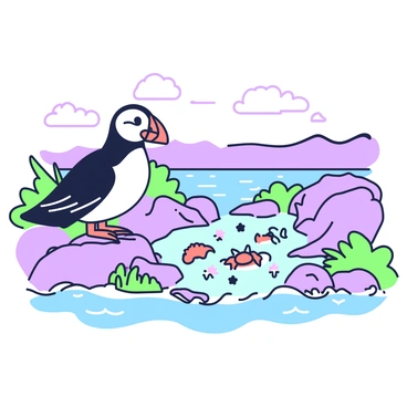 Puffin