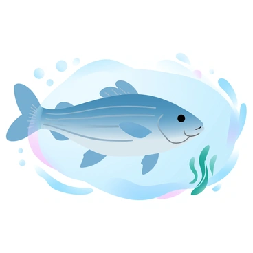 A striped bass is swimming gracefully in clear blue water. The fish has distinct horizontal stripes running along its body, showcasing its sleek form. Surrounding the bass, vibrant green seaweed sways gently with the movement of the water. Small bubbles trail behind the fish as it glides through the aquatic environment. Sunlight filters through the water, creating a soft illumination that enhances the colors of the scene.