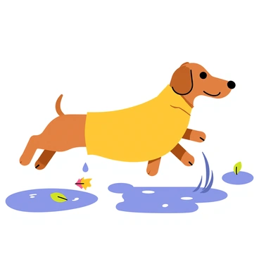 A dachshund wearing a cheerful yellow raincoat is joyfully splashing in puddles. The dog's long body contrasts with the bright color of the raincoat. Water droplets are flying up around the dog's paws as it leaps from one puddle to another. The ground is wet, reflecting the blue sky above, and there are small ripples in the puddles. The dachshund has an excited expression on its face, with its ears flopping as it jumps. A few colorful leaves surround the puddles, adding to the playful atmosphere.