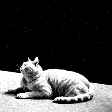 A chubby orange cat with a distinctive pattern is lying on a rooftop. The cat has half-closed eyes, as it gazes up towards a sky filled with a multitude of stars. The rooftop is flat and has a textured surface. The surroundings are dark, emphasizing the brightness of the stars above. The cat is relaxed, with its paws stretched out beside it, creating a peaceful scene.