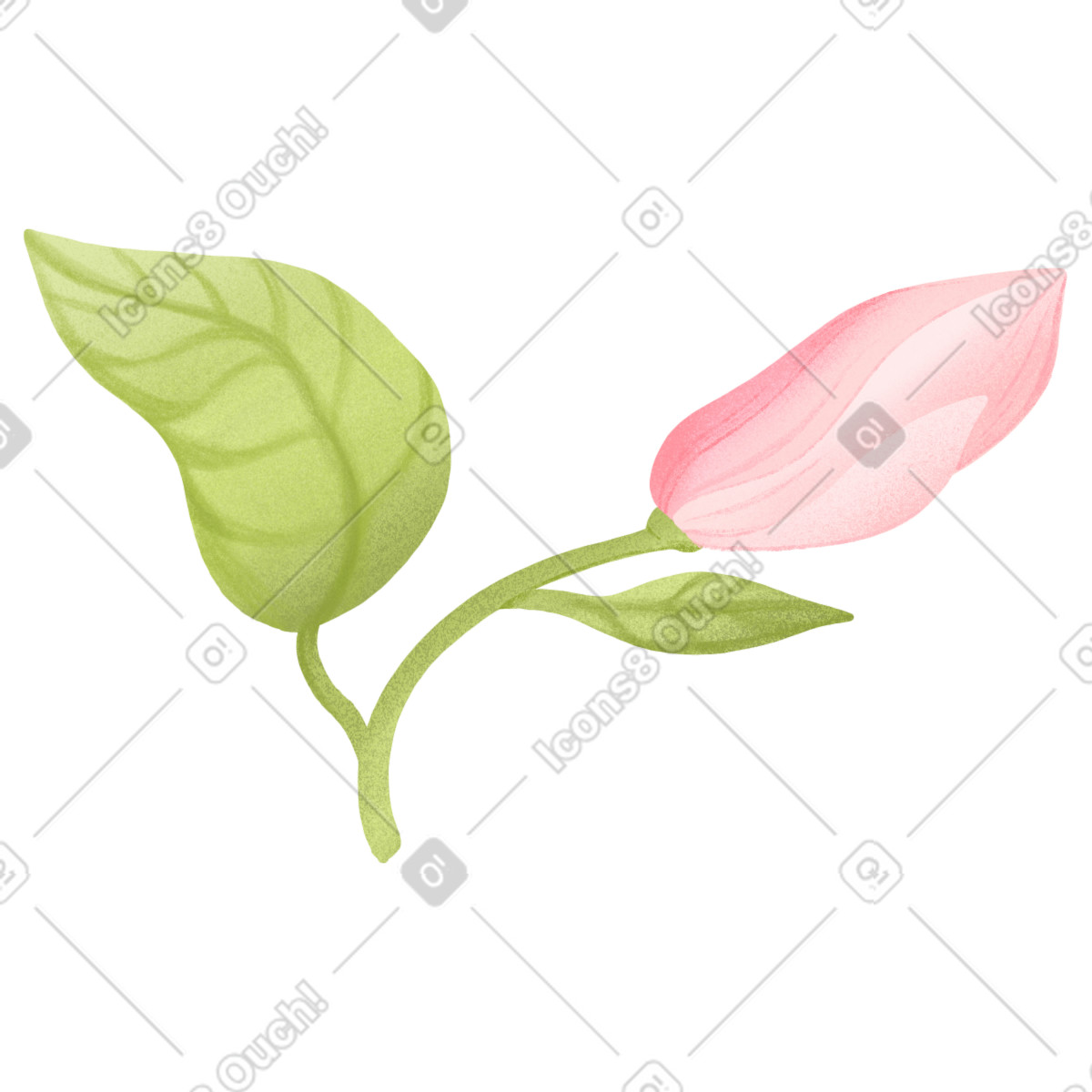 Illustration Magnolia bud on a branch dans le style Floral à télécharger aux formats PNG, SVG