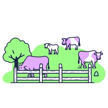 A rustic wooden farm fence is positioned in the foreground, with weathered planks and a few patches of light green moss. In the background, several cows are grazing peacefully on the grass. The cows vary in size and pattern, with some being solid and others having distinct markings. The sky is clear, providing a serene atmosphere, while the grassy field stretches out gently around the animals. A small tree can be seen to the side, offering shade to the area.