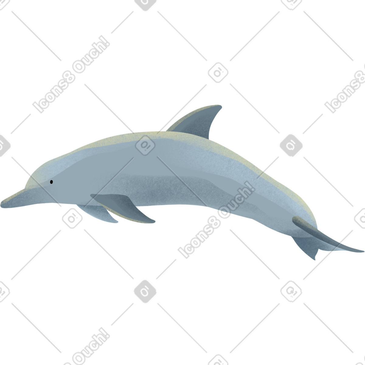 Dolphin illustration in Shine style download in PNG, SVG