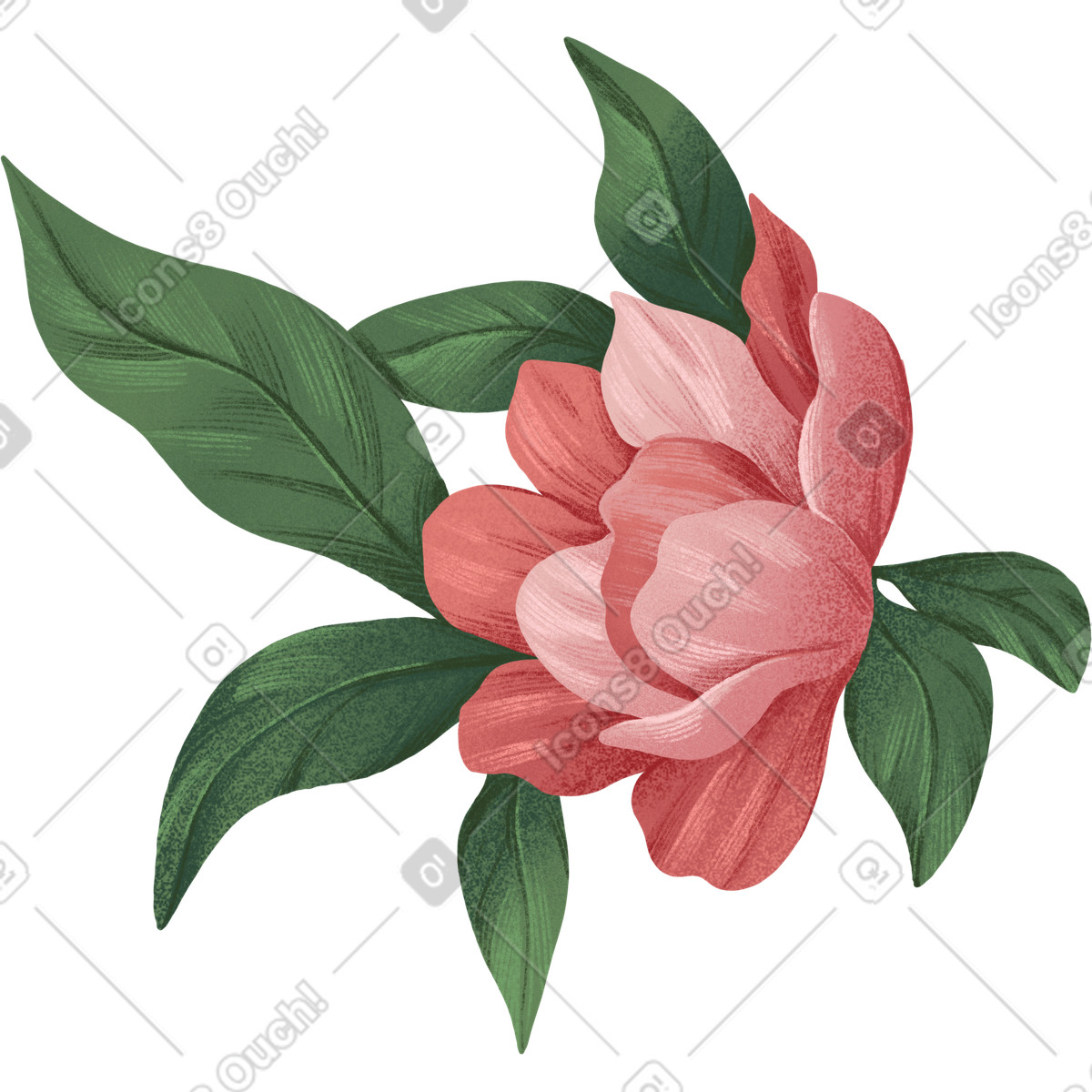 Floral スタイルの 開いた濃いピンク色の花のつぼみ のイラストをPNG、SVG形式でダウンロード