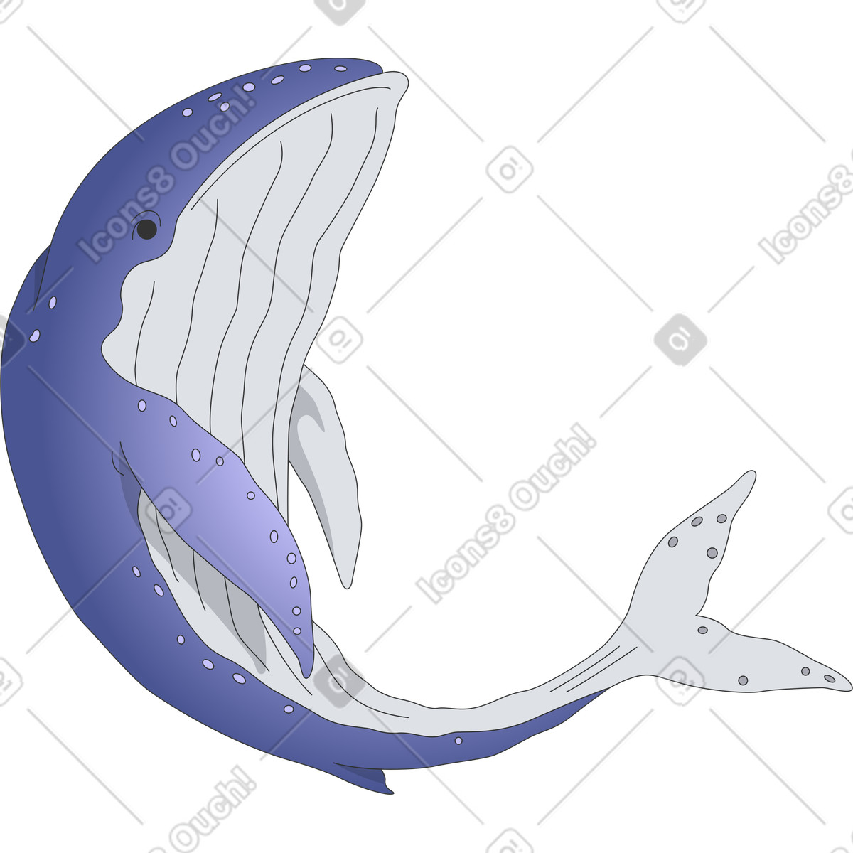 Kit スタイルの 鯨 のイラストをPNG、SVG形式でダウンロード
