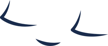Face calm PNG, SVG