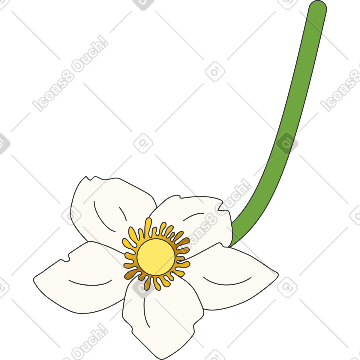 Ilustração de Flor anêmona floco neve em no estilo Kit para baixar em PNG, SVG