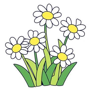 Chamomile