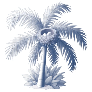 A nest resting among the fronds of a tall palm tree. The nest is constructed from twigs and leaves, intricately woven and positioned securely within the lush green fronds. The palm tree has a tall trunk with a rough texture, leading up to a crown of fronds that arch gracefully. Sunlight filters through the fronds, casting dappled shadows on the nest below. The scene captures the natural habitat, with the surrounding foliage providing a sense of depth and richness to the environment.