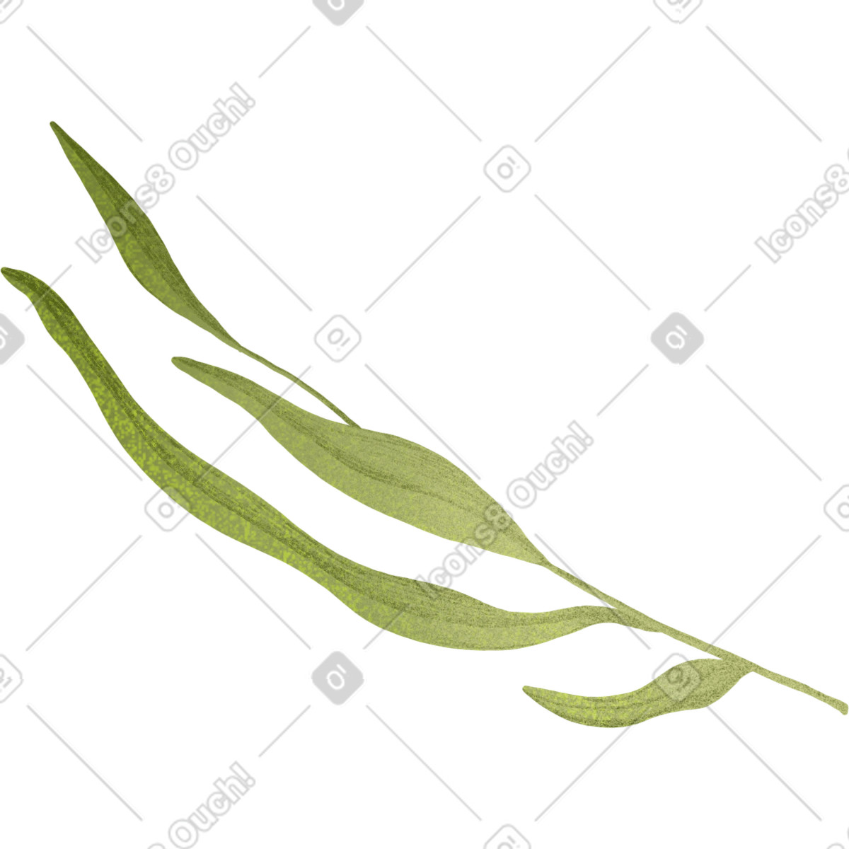 Green curved twig with long leaves illustration in Floral style download in PNG, SVG