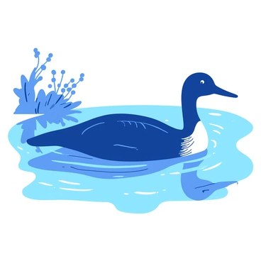 A lone loon with its reflection shimmering in the calm water